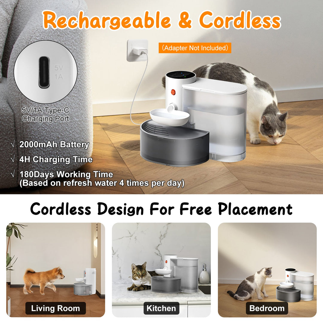 GBruno 3L Cordless Pet Water Fountain with Timer
