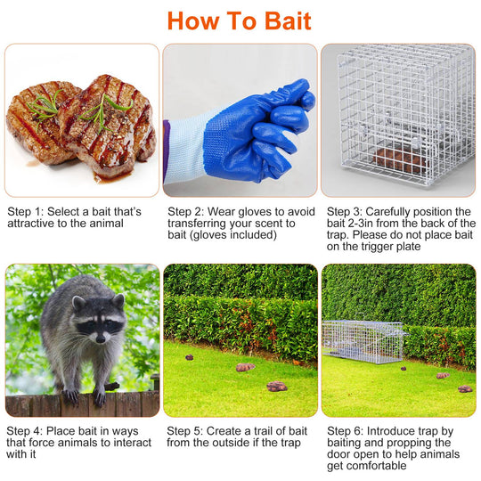 25.6" Humane Animal Trap Cage – Heavy-Duty Catch & Release