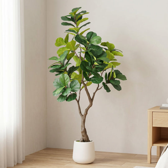 6FT Artificial Fiddle Leaf Fig Tree with White Pot