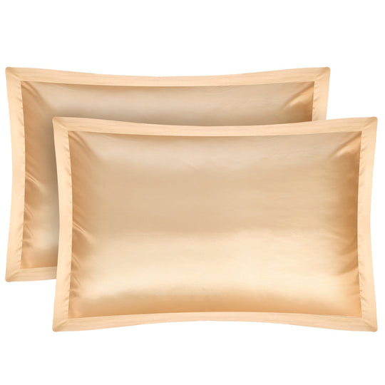 2 Pack Soft Silky Satin Pillow Case Hypoallergenic Breathable Bed Pillow Cover Queen Size Pillowcase Great for Hair Skin