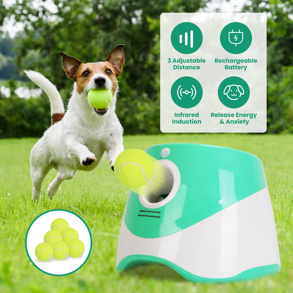 GBruno Ball Launcher Included 6 Tennis Balls Dog