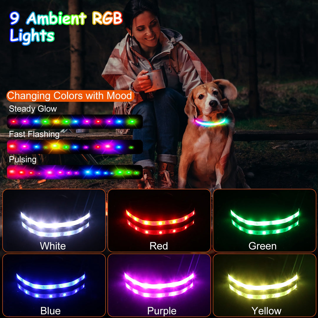 GBruno Light Up Dog Collar