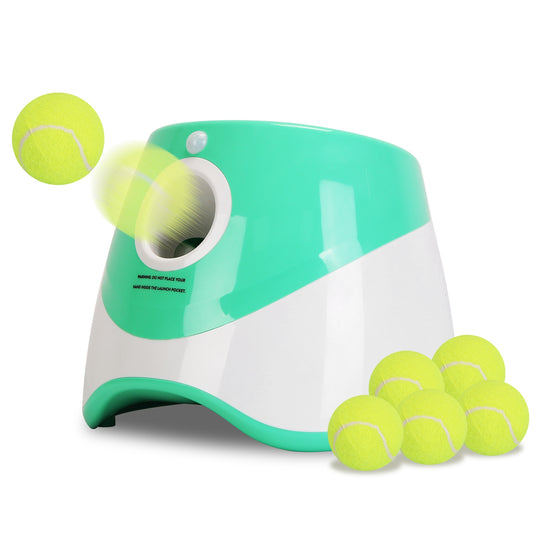 GBruno Ball Launcher Included 6 Tennis Balls Dog