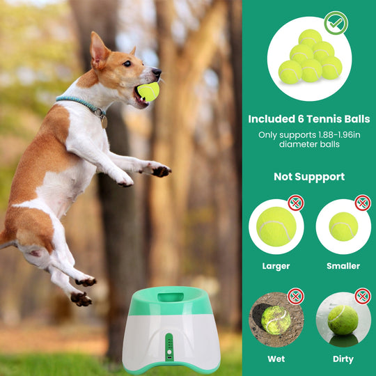 GBruno Ball Launcher Included 6 Tennis Balls Dog