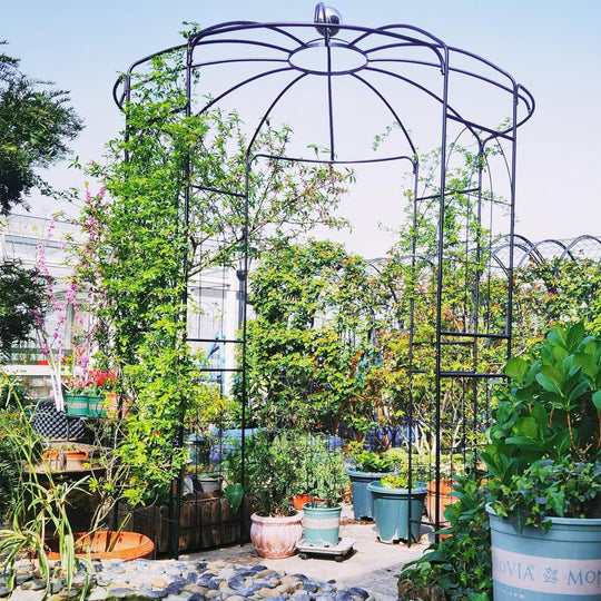 Birdcage Shape Gazebo for Climbing Plants and Wedding Ceremony Decoration