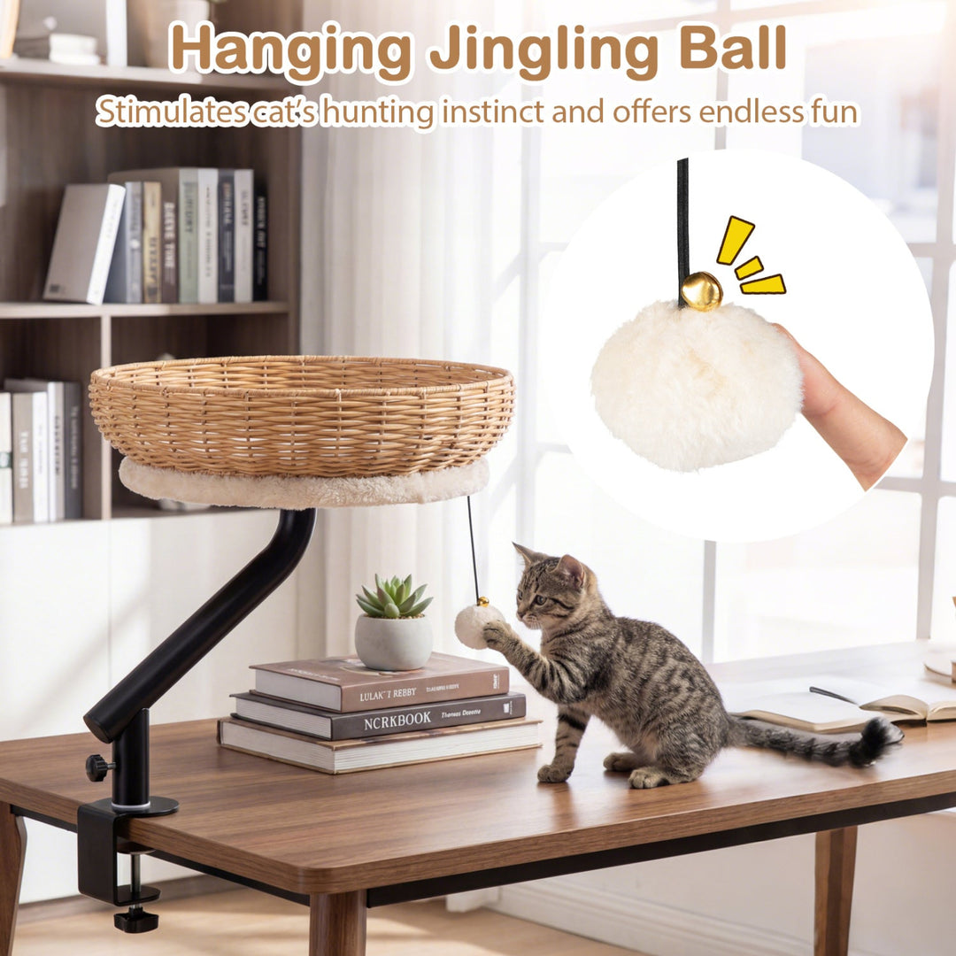 Cat Desk Bed with Removable Padded Cushion for Indoor Cats
