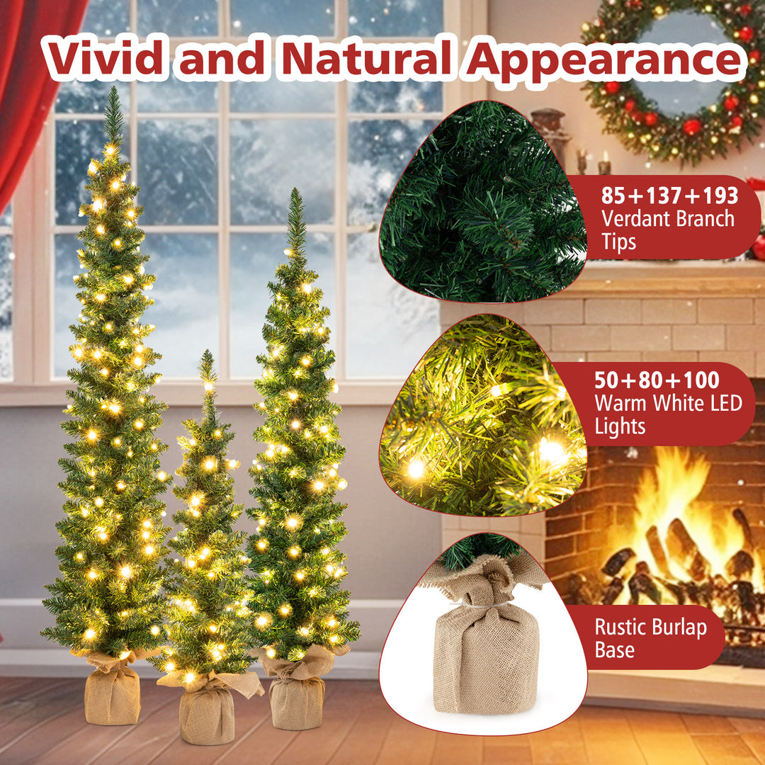 Set of 3 Pre-Lit Artificial Christmas Trees with 415 Green Branch Tips