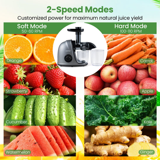 Cold Press Juicer Machine with 95% Juice Yield - Silver