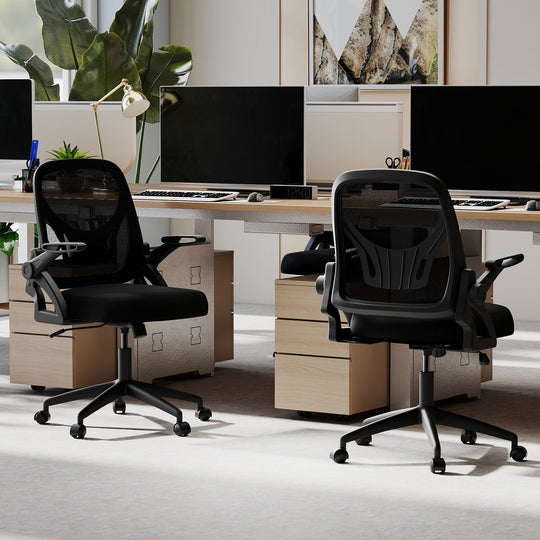 Ergonomic Computer Desk Chair with Lumbar Support and Flip-up Arms