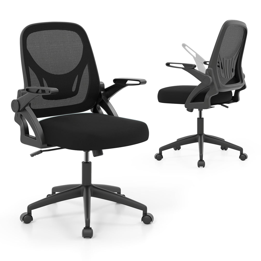 Ergonomic Computer Desk Chair with Lumbar Support and Flip-up Arms