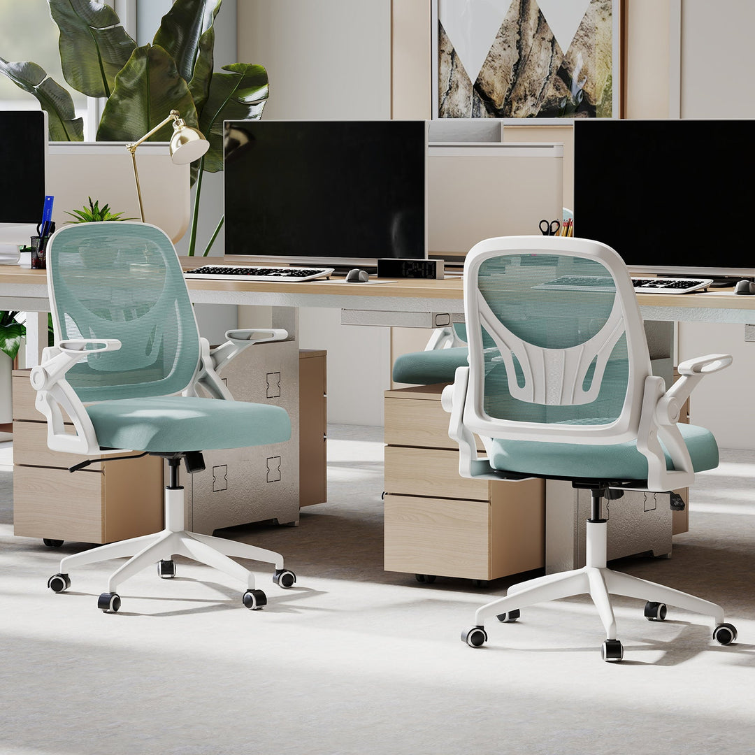 Ergonomic Computer Desk Chair with Lumbar Support and Flip-up Arms