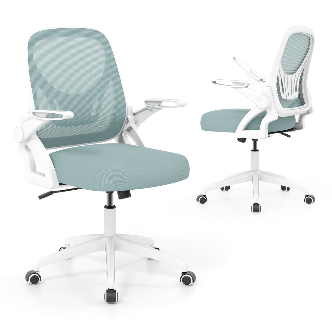 Ergonomic Computer Desk Chair with Lumbar Support and Flip-up Arms