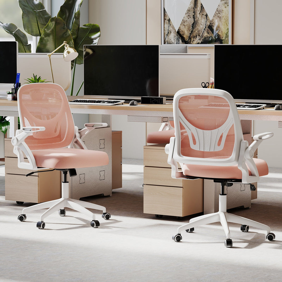 Ergonomic Computer Desk Chair with Lumbar Support and Flip-up Arms