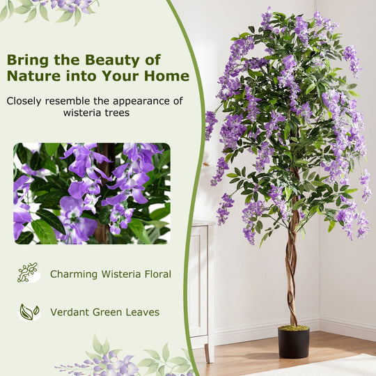 Set of 2 Fake Ficus Plant 6 FT Artificial Wisteria Tree with Natural Trunks and Purple Lifelike Flowers