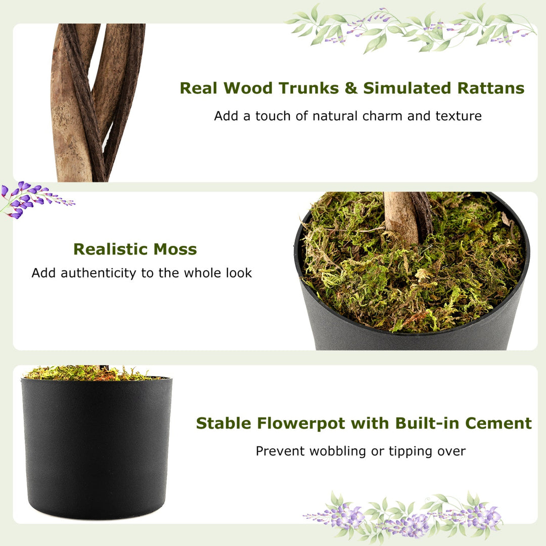 Set of 2 Fake Ficus Plant 6 FT Artificial Wisteria Tree with Natural Trunks and Purple Lifelike Flowers