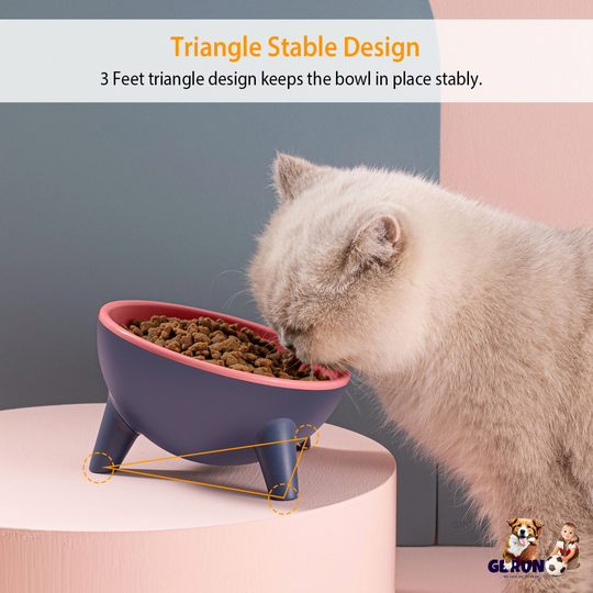 GBruno Elevated Cat Food Bowl