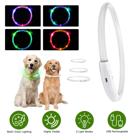 GBruno USB Rechargeable LED Dog Collar