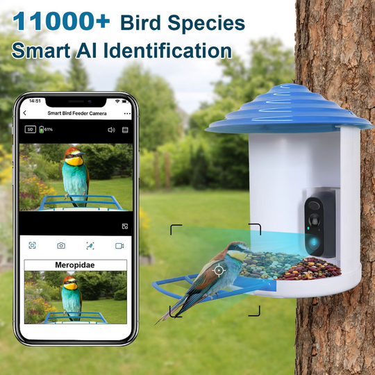 GBruno Smart Bird Feeder