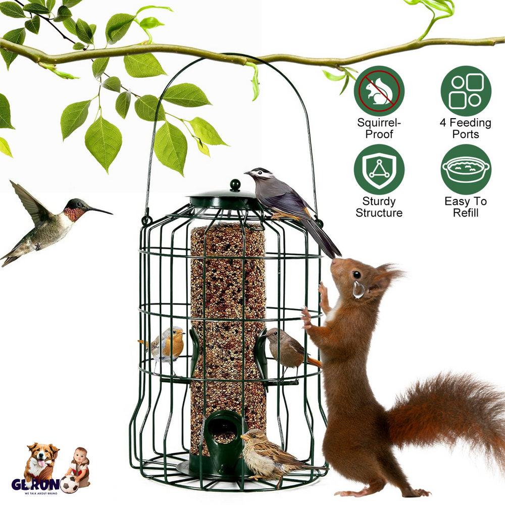 GBruno Outdoor Wild Bird Feeder