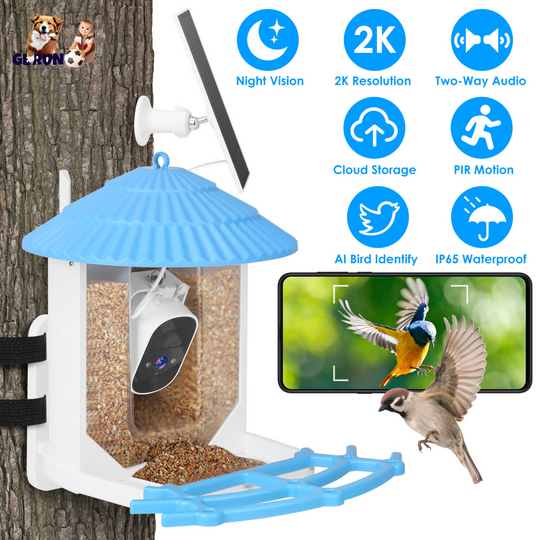 GBruno Solar Powered Smart Bird Feeder