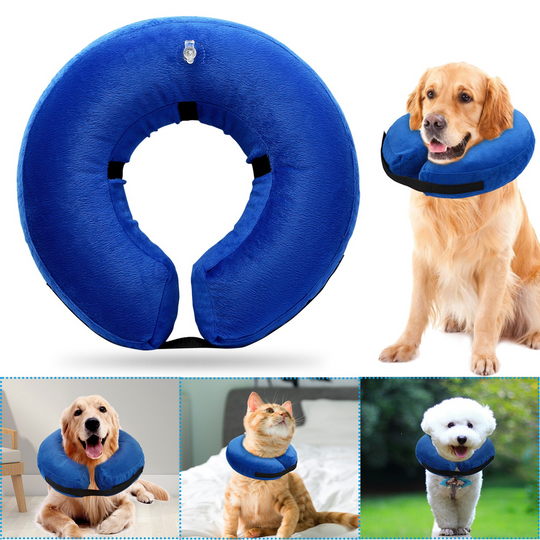 GBruno Dog Protective Inflatable Collar