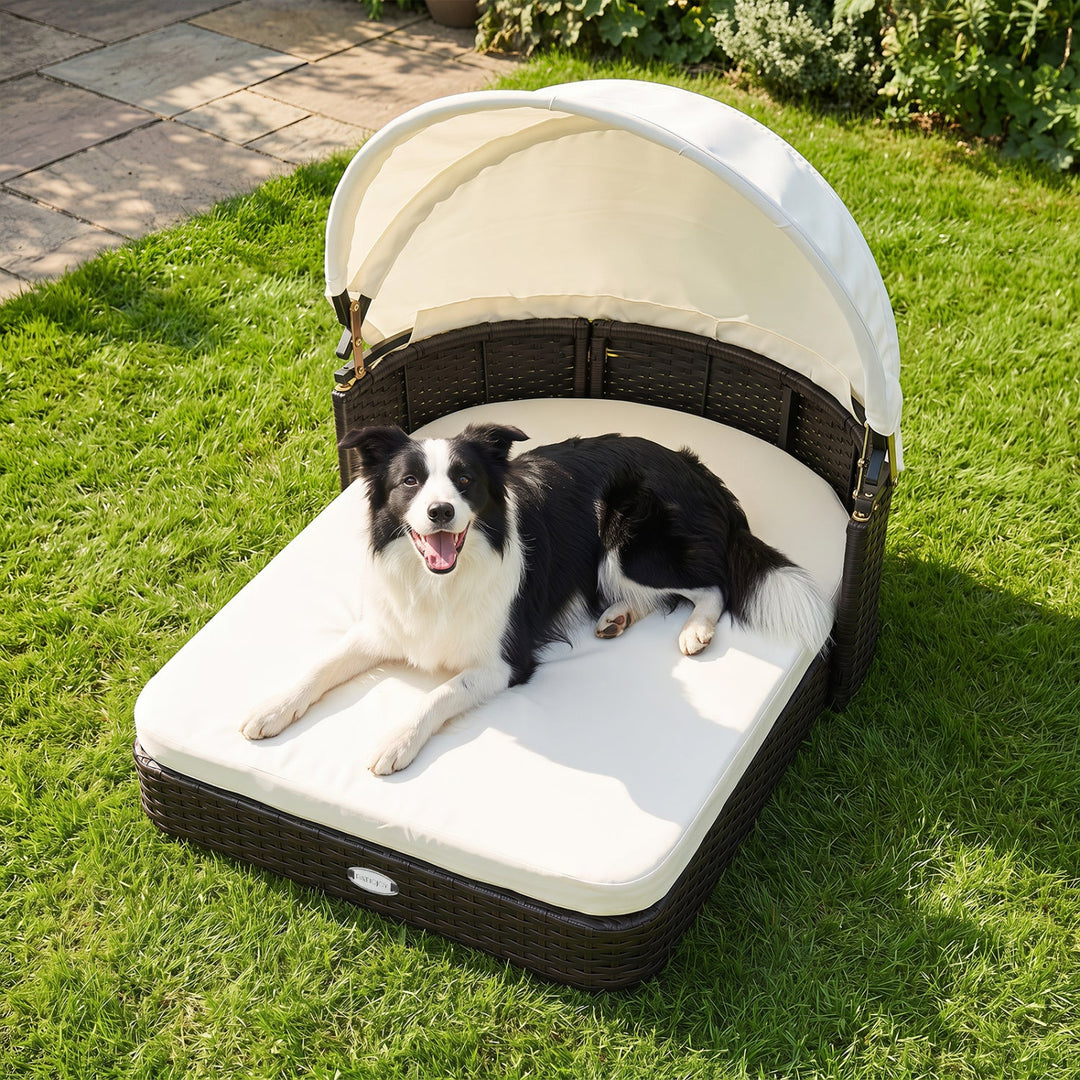 Rattan Pet Daybed with Adjustable Canopy for Small & Medium Dogs