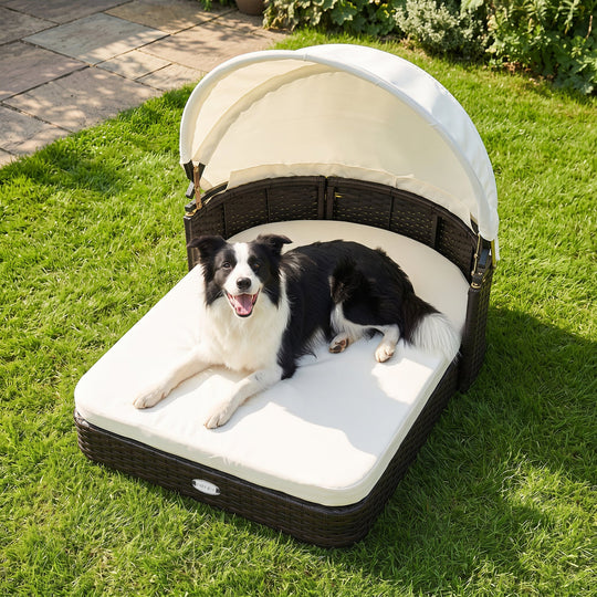 Rattan Pet Daybed with Adjustable Canopy for Small & Medium Dogs