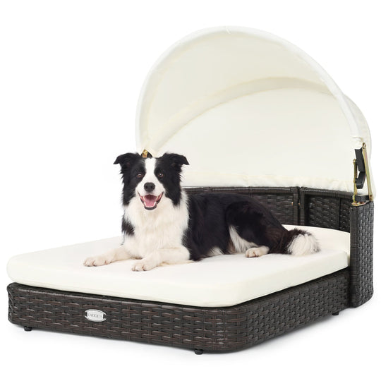 Rattan Pet Daybed with Adjustable Canopy for Small & Medium Dogs