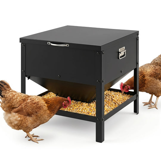 Large Capacity Chicken Feeder with Openable Lid