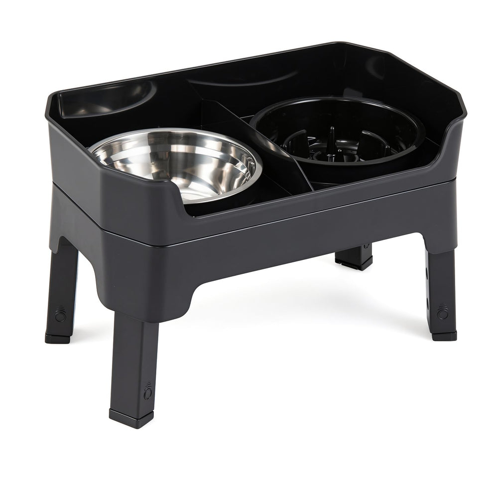 Mess Proof Elevated Dog Bowls with 4 Adjustable Heights with Licking Plate-Black