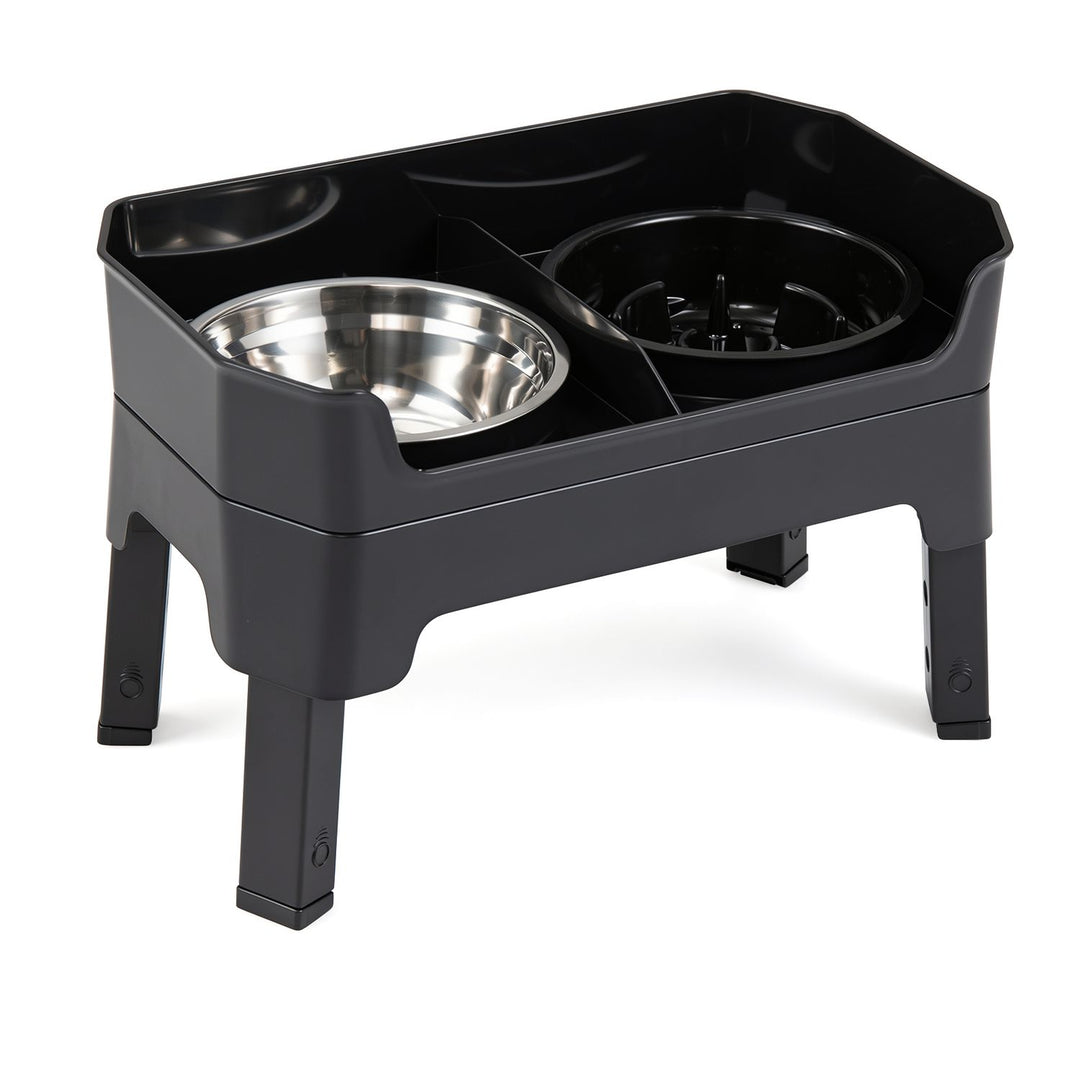Mess Proof Elevated Dog Bowls with 4 Adjustable Heights with Licking Plate-Black