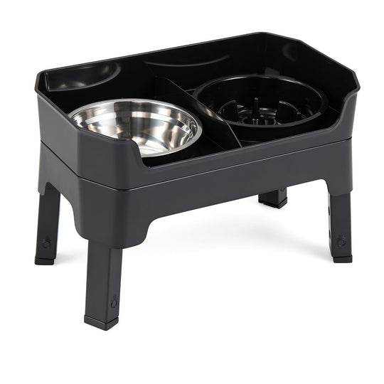 Mess Proof Elevated Dog Bowls with 4 Adjustable Heights with Licking Plate-Black