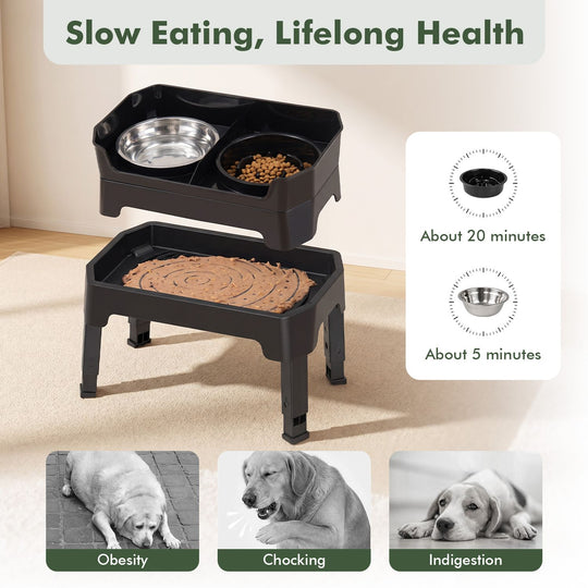 Mess Proof Elevated Dog Bowls with 4 Adjustable Heights with Licking Plate-Black
