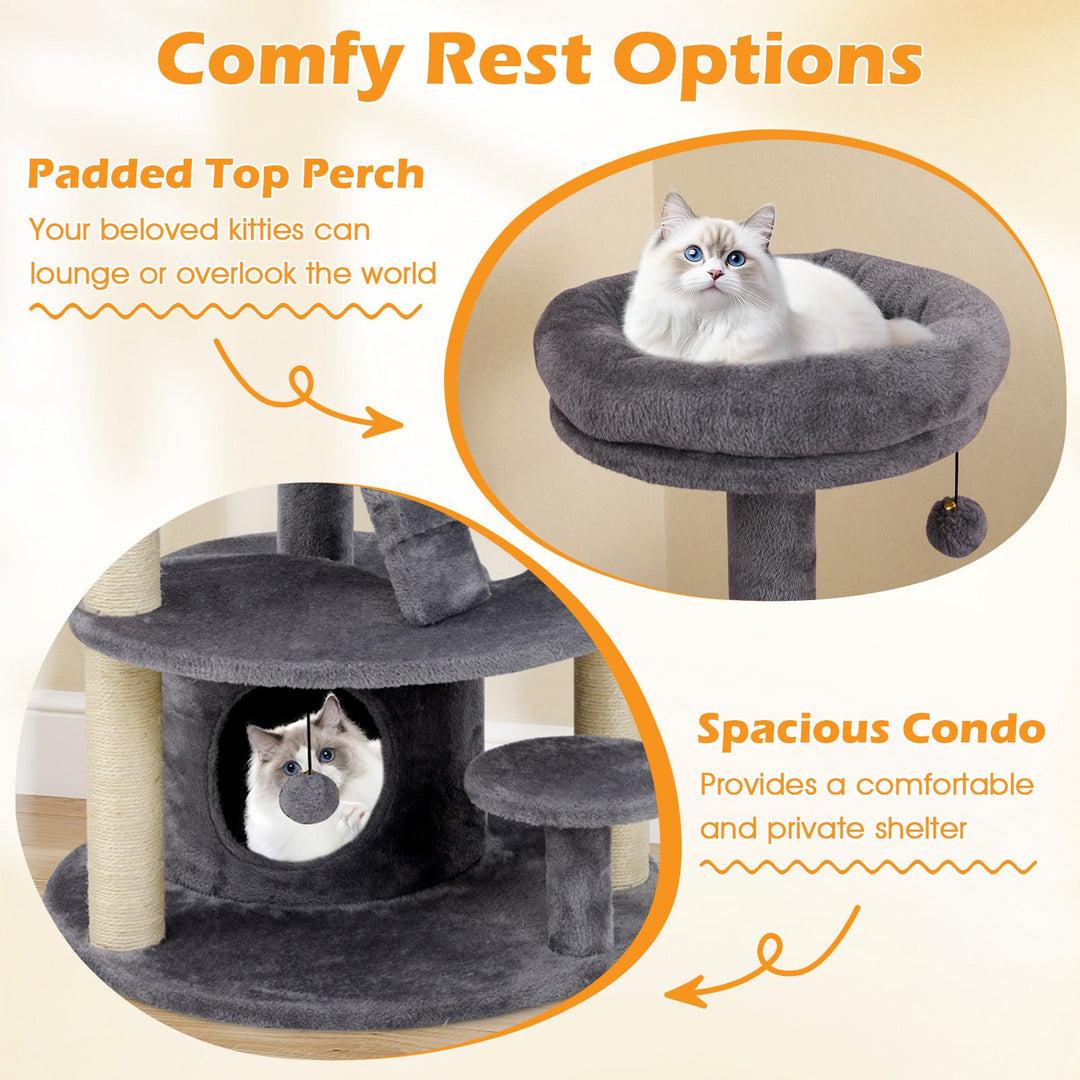 Multi-level Kitty Tower with Condo and Climbing Ladder-GR