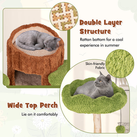 Multi-level Cat Tree with Double Decker Cat House and Sisal Panel-Brown