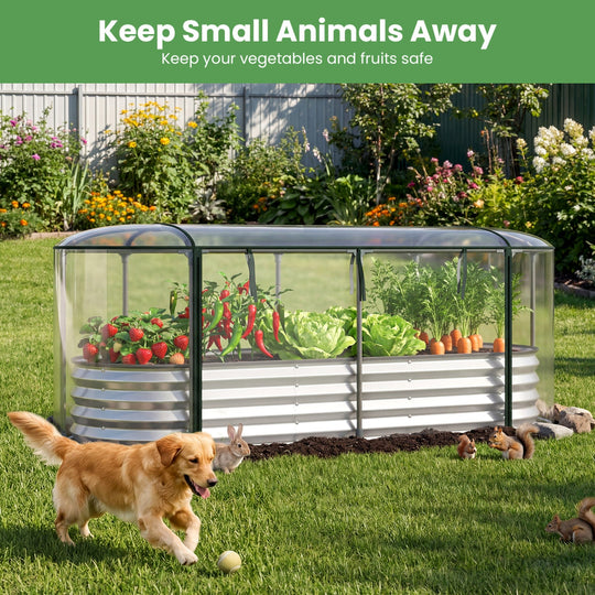 Outdoor Color Steel Raised Garden Bed with Greenhouse Cover Roll-up Window