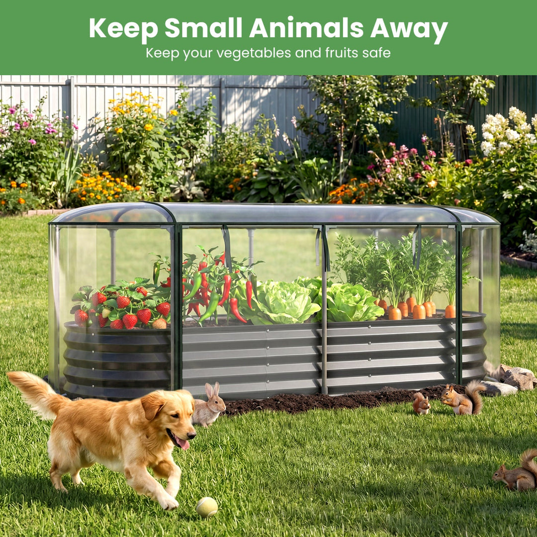 Outdoor Color Steel Raised Garden Bed with Greenhouse Cover Roll-up Window