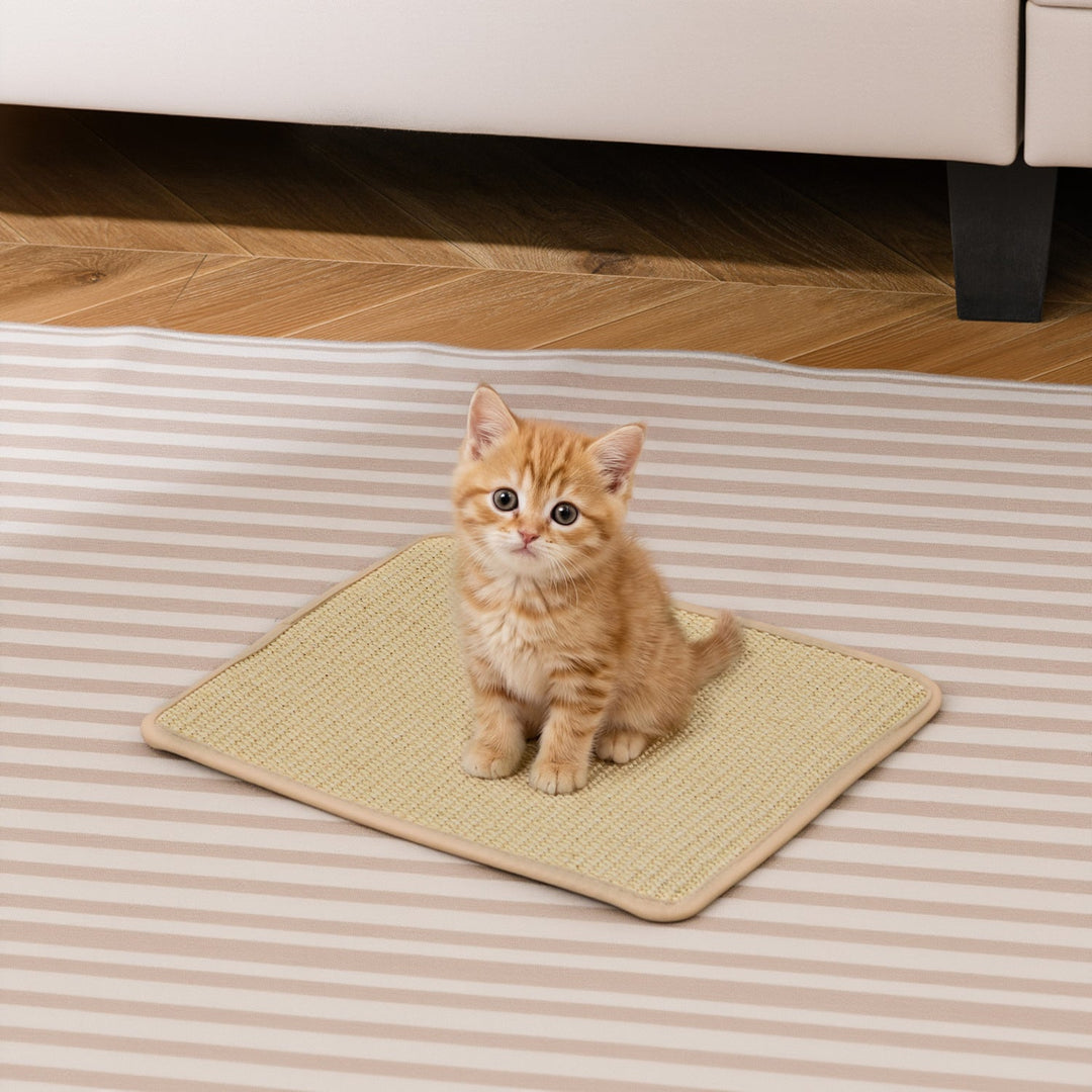 12 Pieces Cat Scratcher Mat Set 16 x 12 Inch Natural Sisal Pads