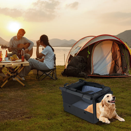 Portable Foldable Pet Carrying Bag with 2 Openings and Comfy Cushion-M