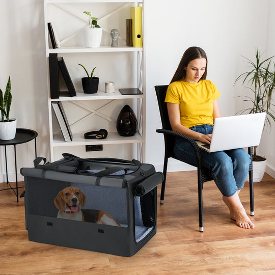 Portable Foldable Pet Carrying Bag with 2 Openings and Comfy Cushion-M