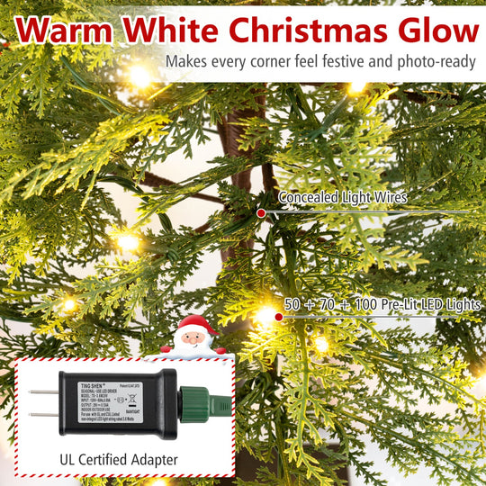 Pre-Lit Cypress Christmas Tree Set of 3 with LED Lights