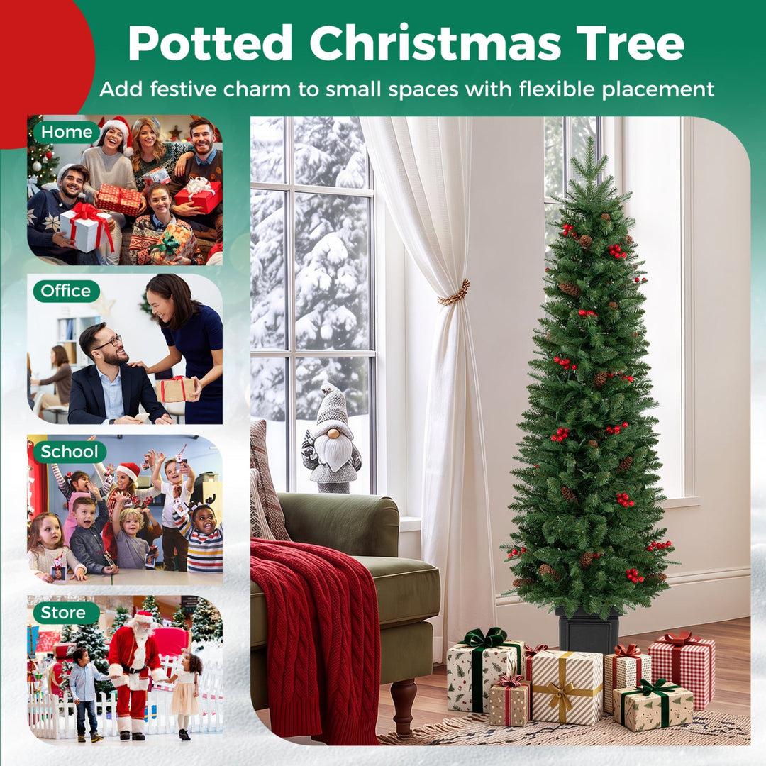 Pre-Lit Potted Christmas Tree with Warm White LED Lights