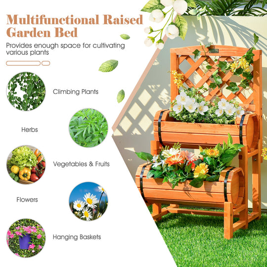 2-Tier Raised Garden Bed with Trellis and Planter Boxes