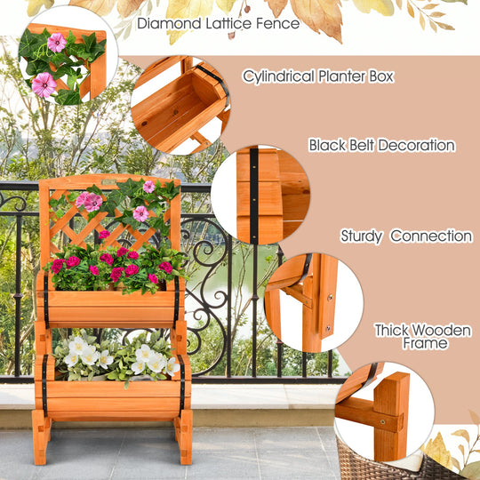 2-Tier Raised Garden Bed with Trellis and Planter Boxes