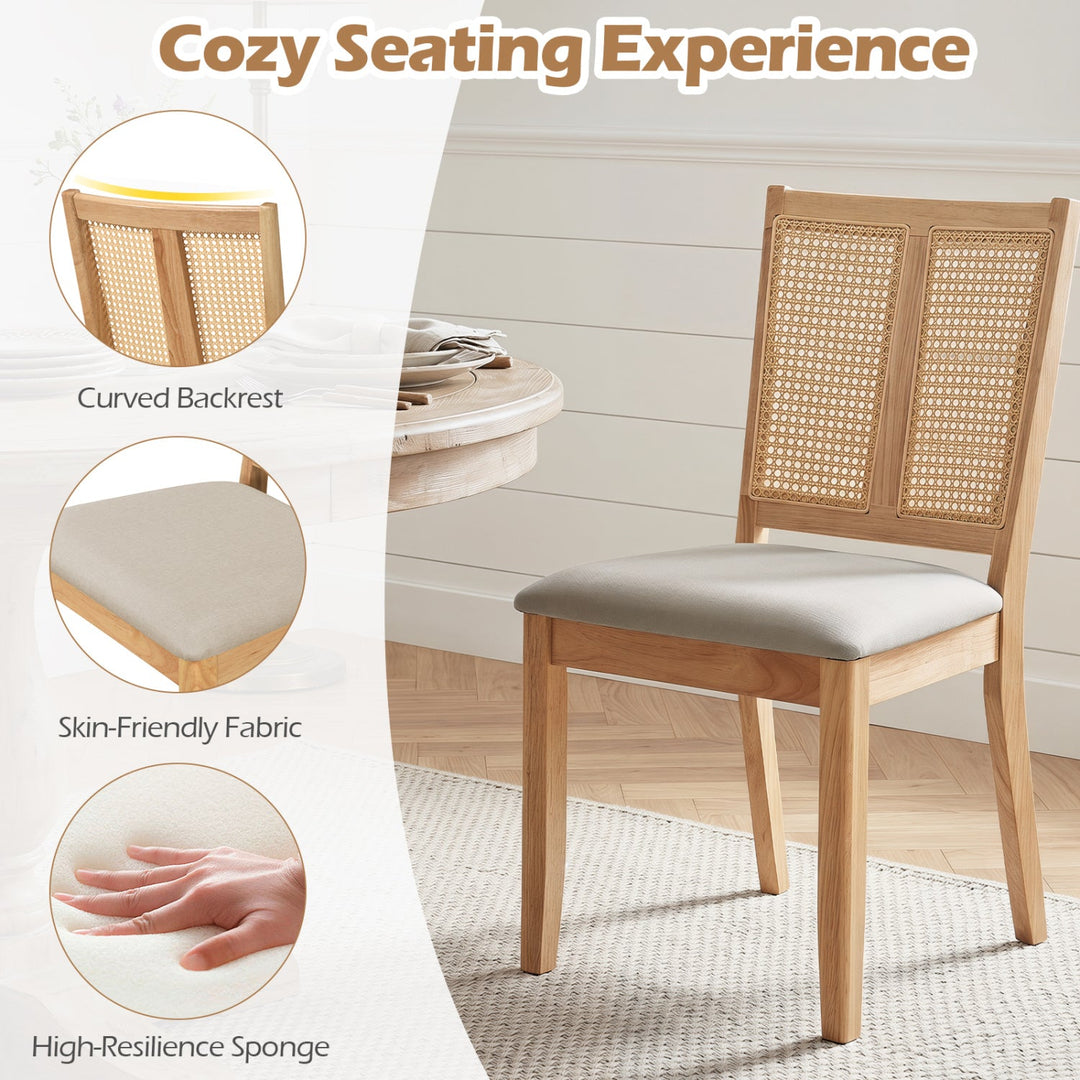 Rattan Dining Chairs Set of 4 with Padded Seats