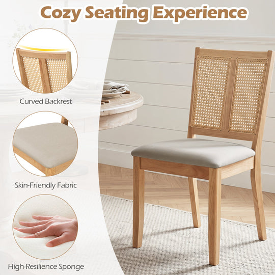 Rattan Dining Chairs Set of 4 with Padded Seats