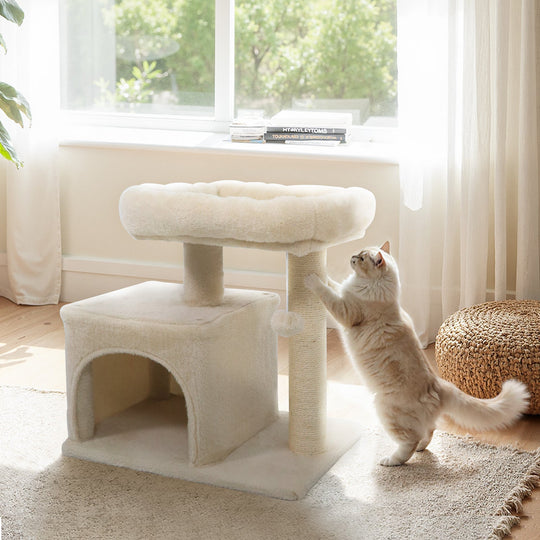 Small Cat Tree with Large Padded Plush Perch for Indoor Cats