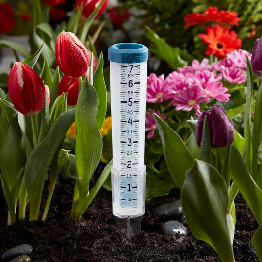 Taylor 7-In. Capacity Freeze-Proof Silicone Rain Gauge with Stake - view 4