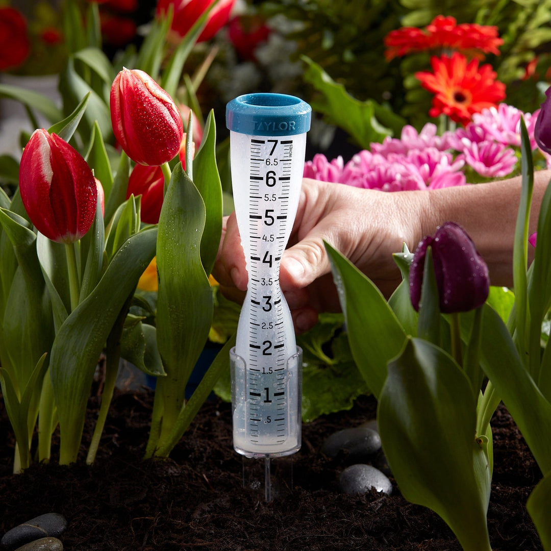 Taylor 7-In. Capacity Freeze-Proof Silicone Rain Gauge with Stake - view 5