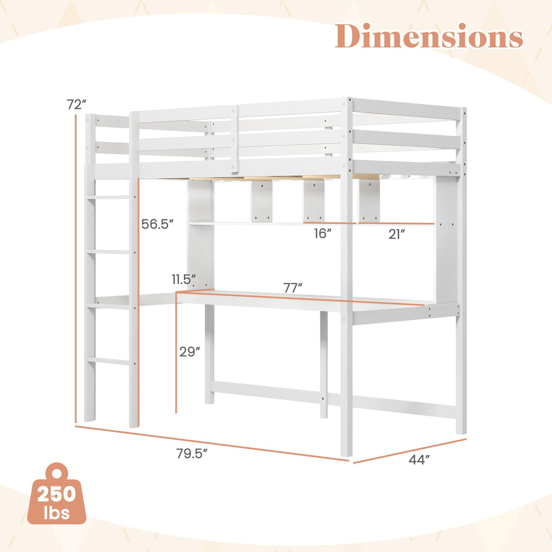 Twin Loft Bed with Desk and Shelves - White